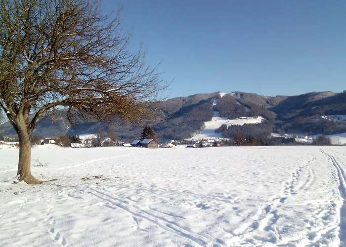 Mit Kueche In Au Bei Turnau *